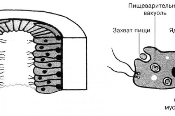 Кракен магазин тор