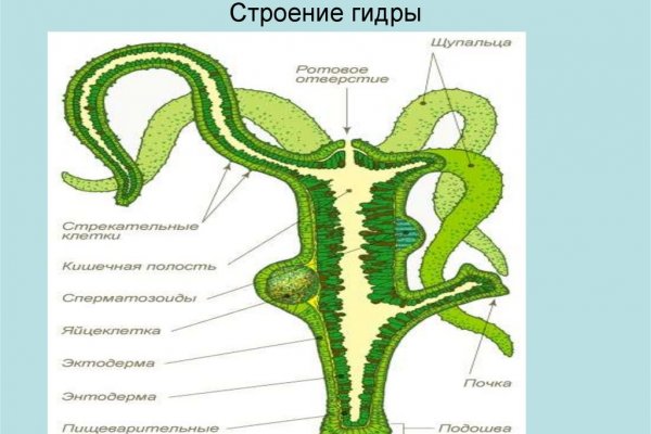 Кракен маркетплейс 2025