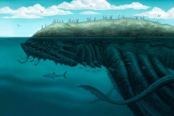 Где купить наркотиков