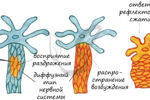 Свежие ссылки кракен