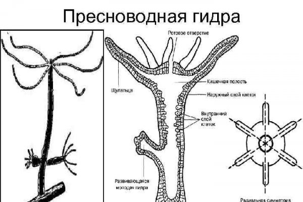 Аутентификатор кракен