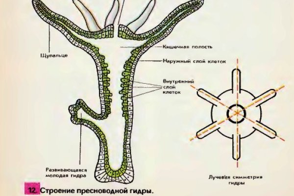 Кракен сс